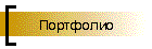 Портфолио